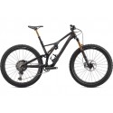 2020 S-WORKS STUMPJUMPER 29